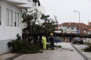 Plataforma para pedir apoios à reconstrução disponível no site da CCDR Centro