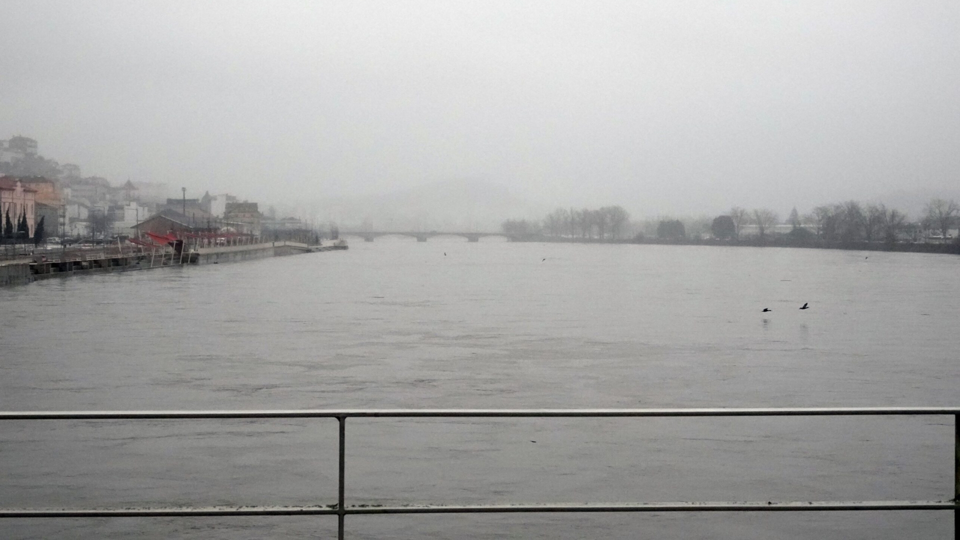 Caudal do Mondego volta a subir e regista mais de 1.700 m3/s às 14h00