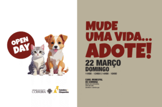 Canil Municipal promove dia aberto este domingo com adoção gratuita de animais