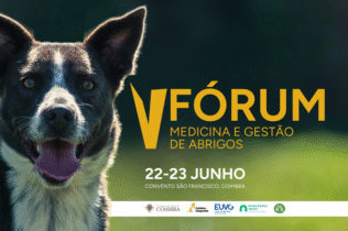 Convento São Francisco acolhe V Fórum de Medicina e Gestão de Abrigos nos dias a 22 e 23 de junho