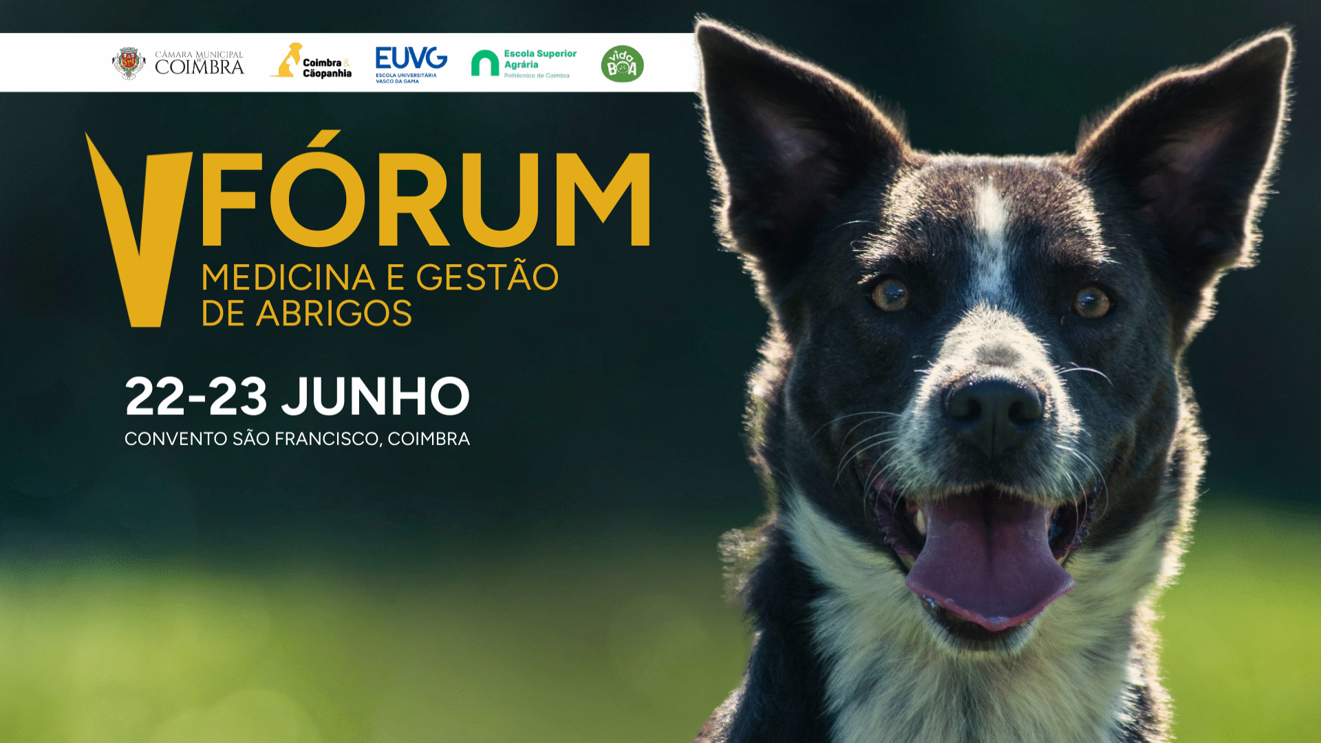 Convento São Francisco acolhe V Fórum de Medicina e Gestão de Abrigos nos dias a 22 e 23 de junho