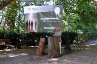 Ana Abrunhosa defende que Estado tome conta de propriedades não registadas