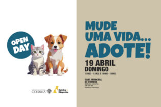 Canil Municipal abre portas ao público este domingo para mais um “Open Day”