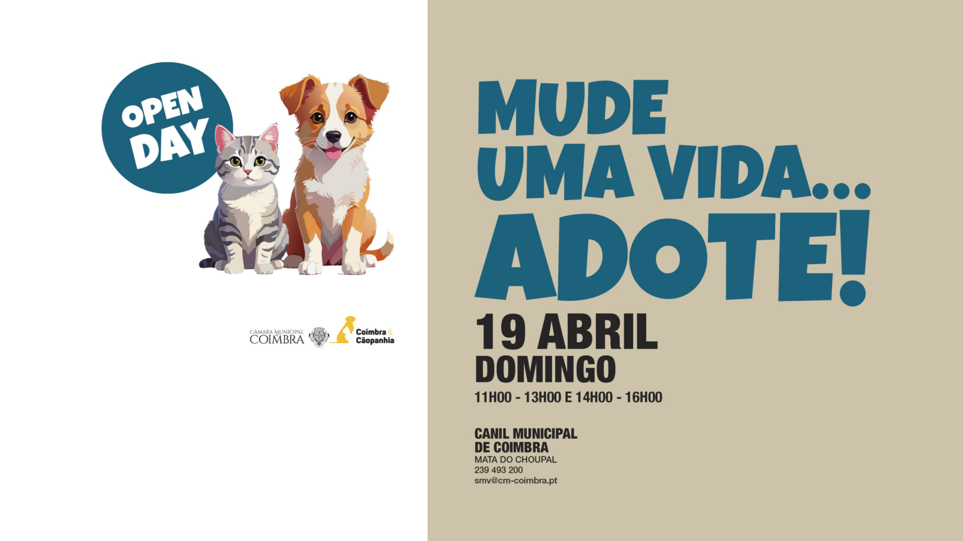 Canil Municipal abre portas ao público este domingo para mais um “Open Day”