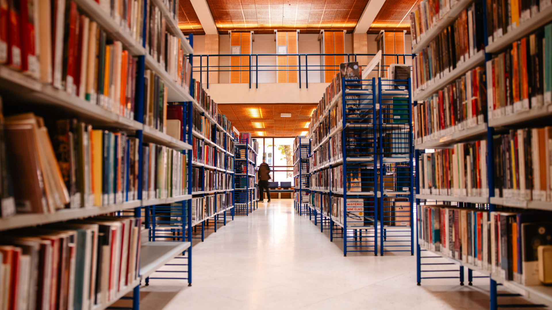 Literatura e teatro marcam programação de maio da Biblioteca Municipal de Coimbra