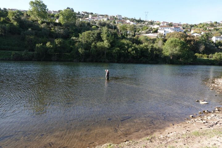 DSC01263 (Personalizar)