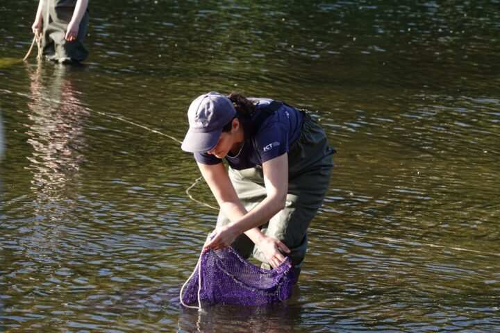 DSC01273 (Personalizar)