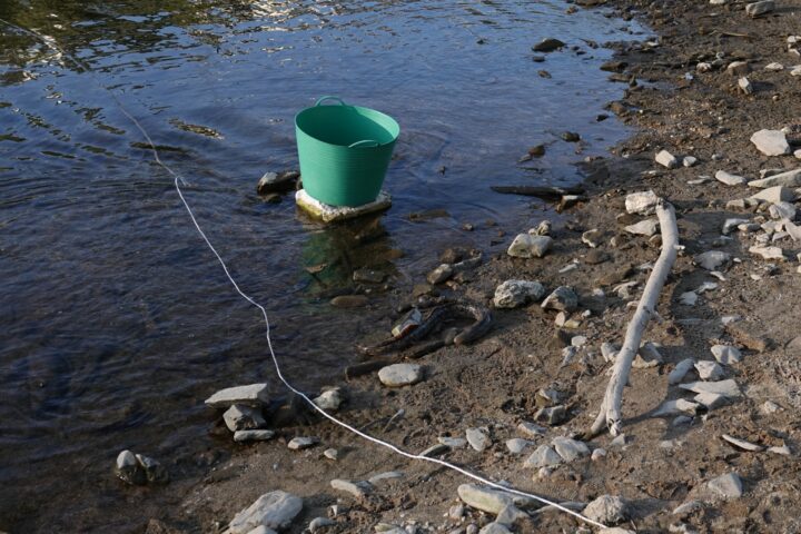 DSC01311 (Personalizar)