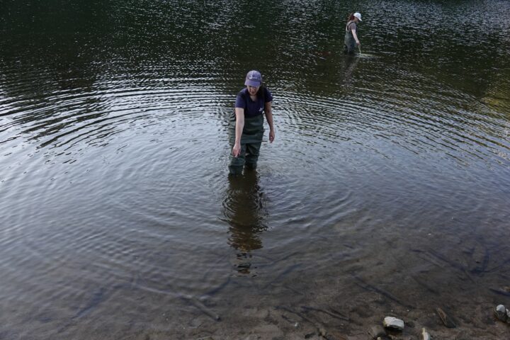 DSC01327 (Personalizar)