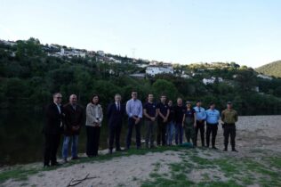 Translocação de lampreia prossegue no Mondego com nova ação em Coimbra