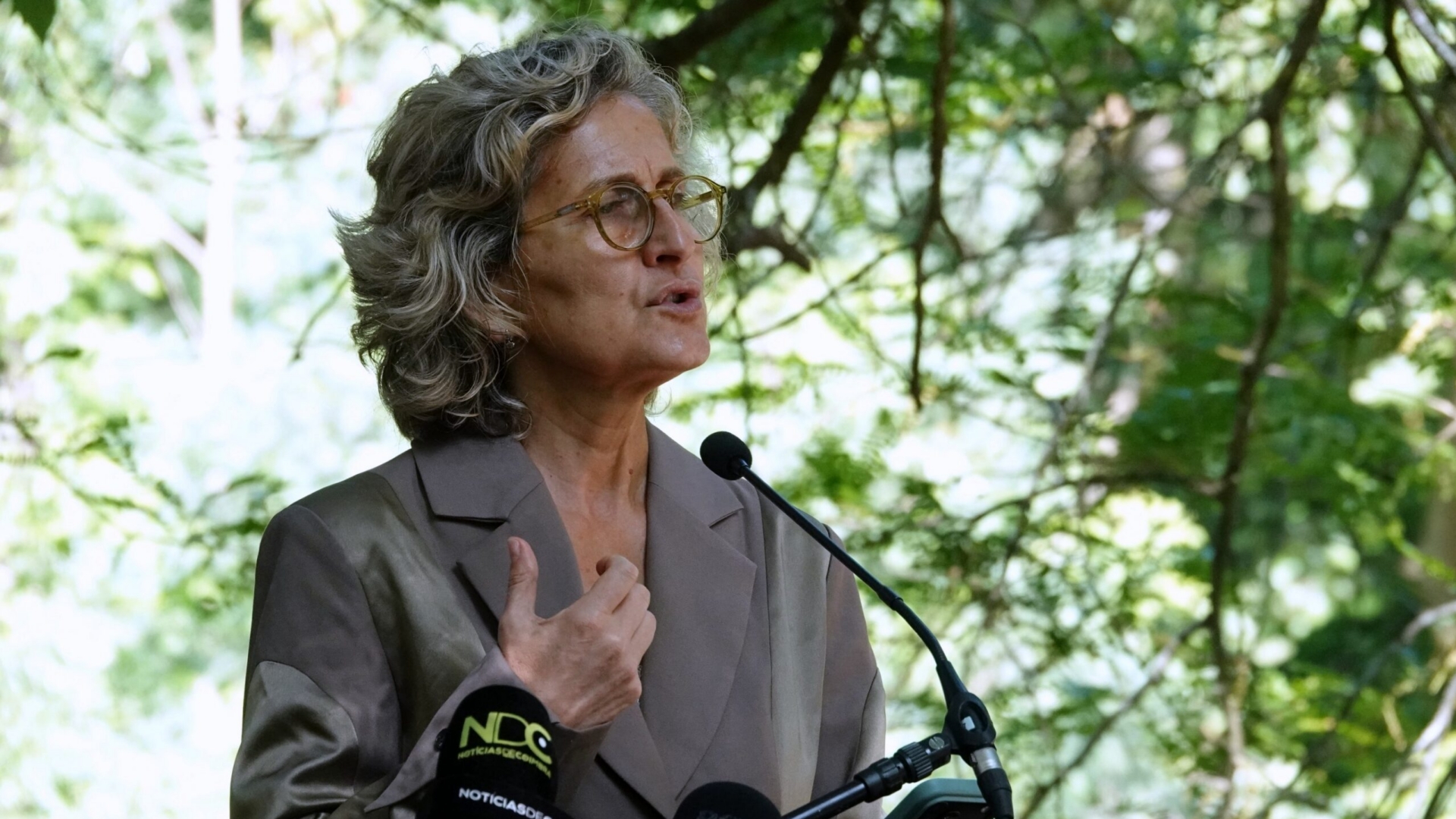 Câmara de Coimbra quer gestão partilhada da Mata do Choupal