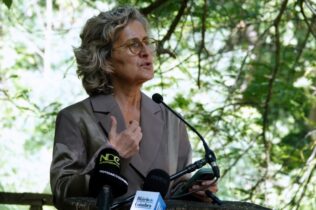 Câmara de Coimbra quer gestão partilhada da Mata do Choupal