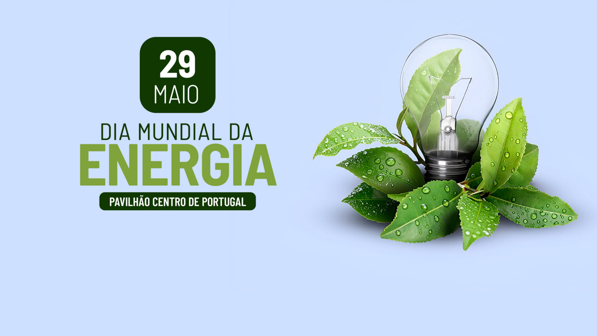 Coimbra assinala Dia Mundial da Energia com especialistas da Universidade de Coimbra e debate sobre transição energética