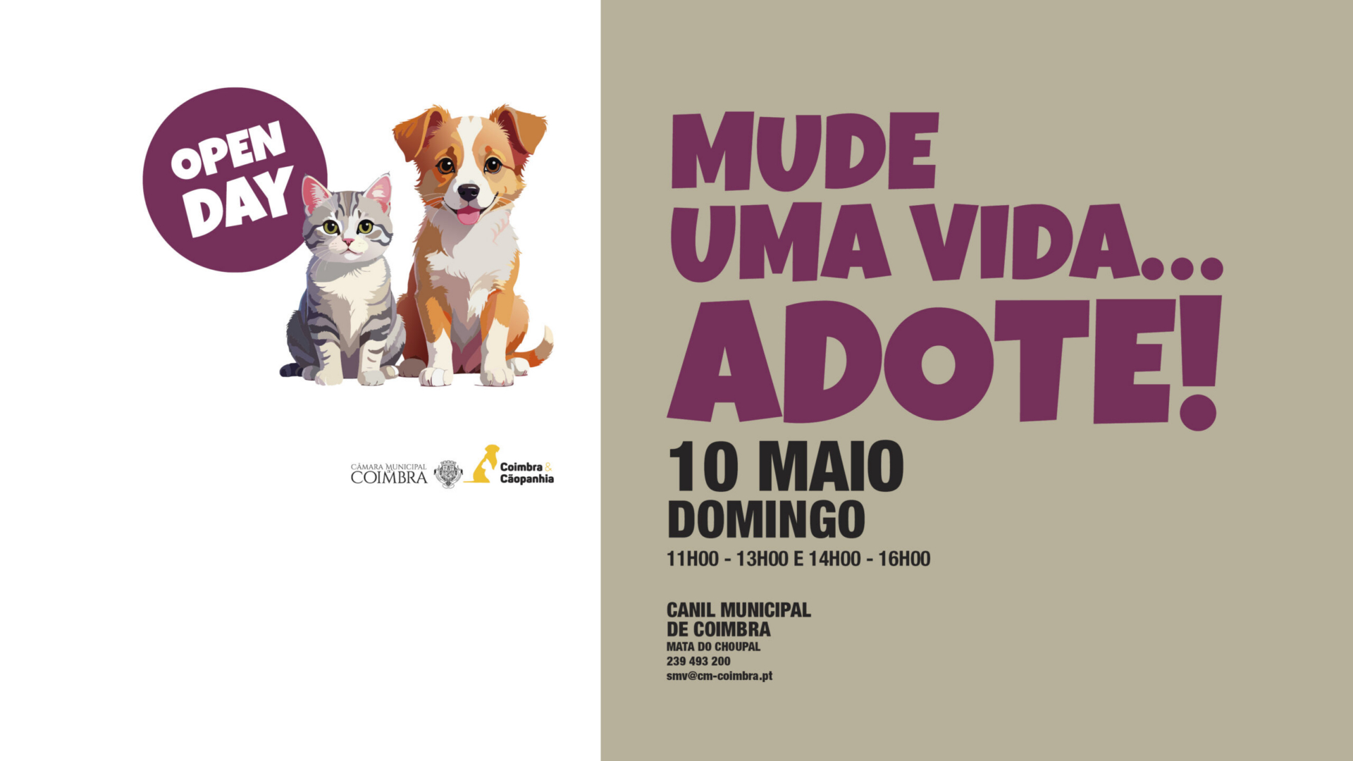 Canil Municipal promove novo “Open Day” este domingo com adoção gratuita de animais