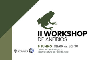 Paul de Arzila recebe workshop sobre anfíbios para assinalar Dia Mundial do Ambiente
