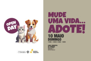 Canil Municipal promove novo “Open Day” este domingo com adoção gratuita de animais