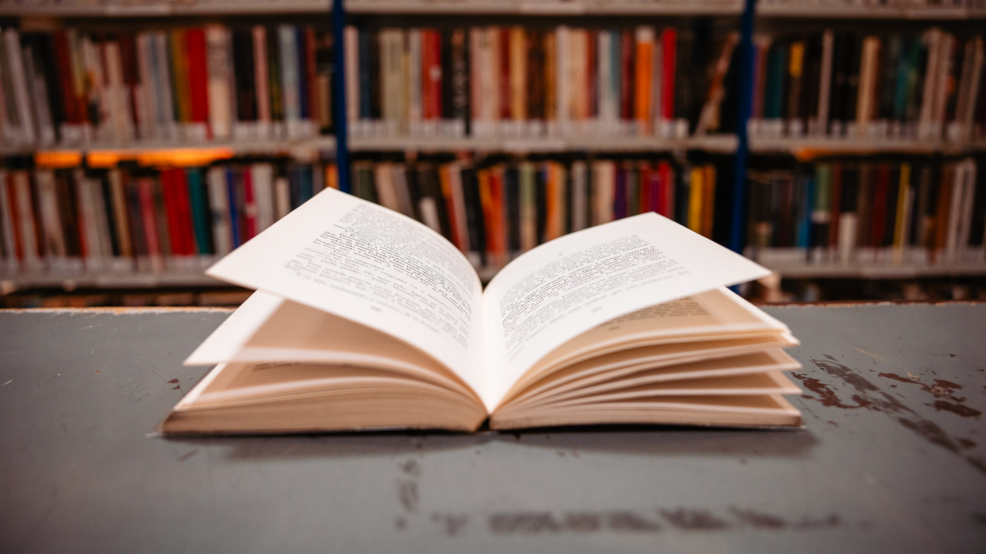 Programação de junho da Biblioteca Municipal destaca leitura e Miguel Torga