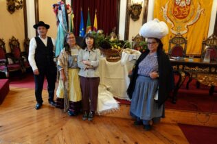 Festa da Flor e da Planta regressa à Baixa no sábado com tapetes floridos, gastronomia e animação
