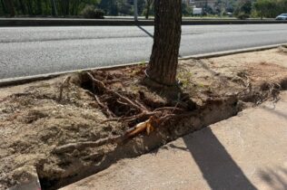 Intervenção na Avenida Elísio de Moura avança com base em parecer técnico da Universidade de Coimbra