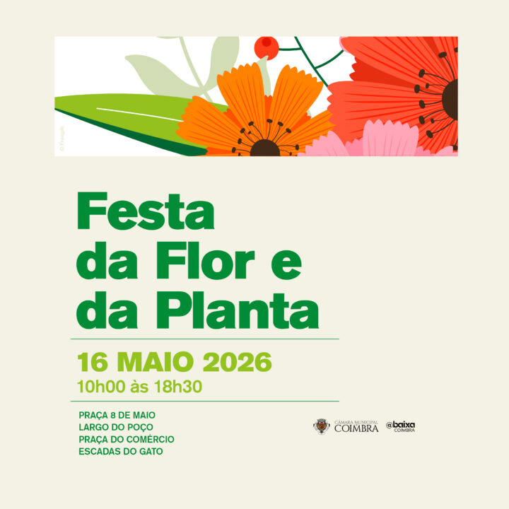 Festa da Flor e da Planta na Baixa