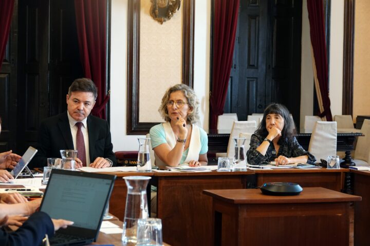 Reunião Manifesta 5 (Personalizar)