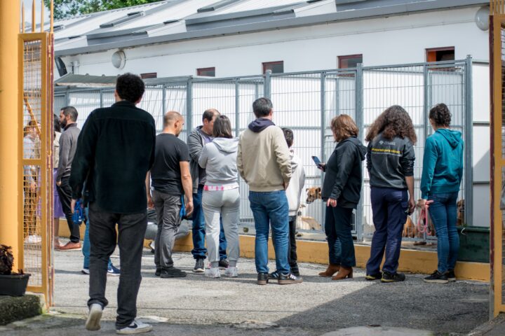 canil (1)