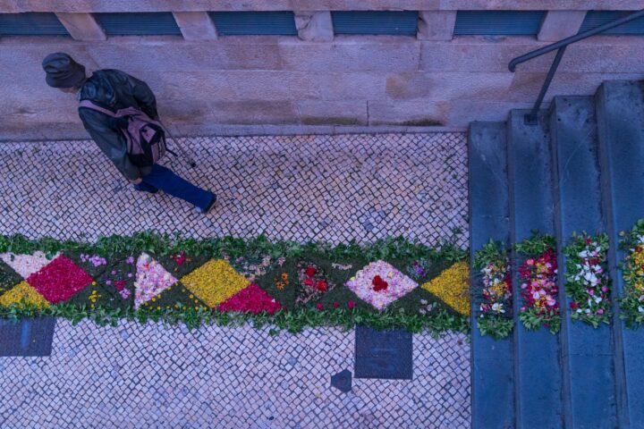 festa-flor-planta-2025 (1)