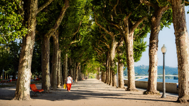 parque-manuel-braga