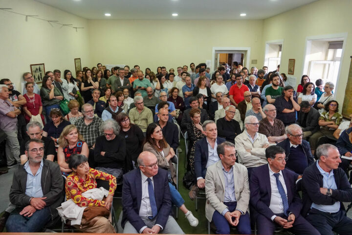 Sofia em Transformação (16)