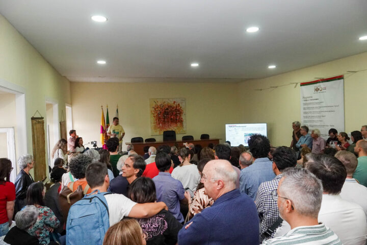 Sofia em Transformação (17)