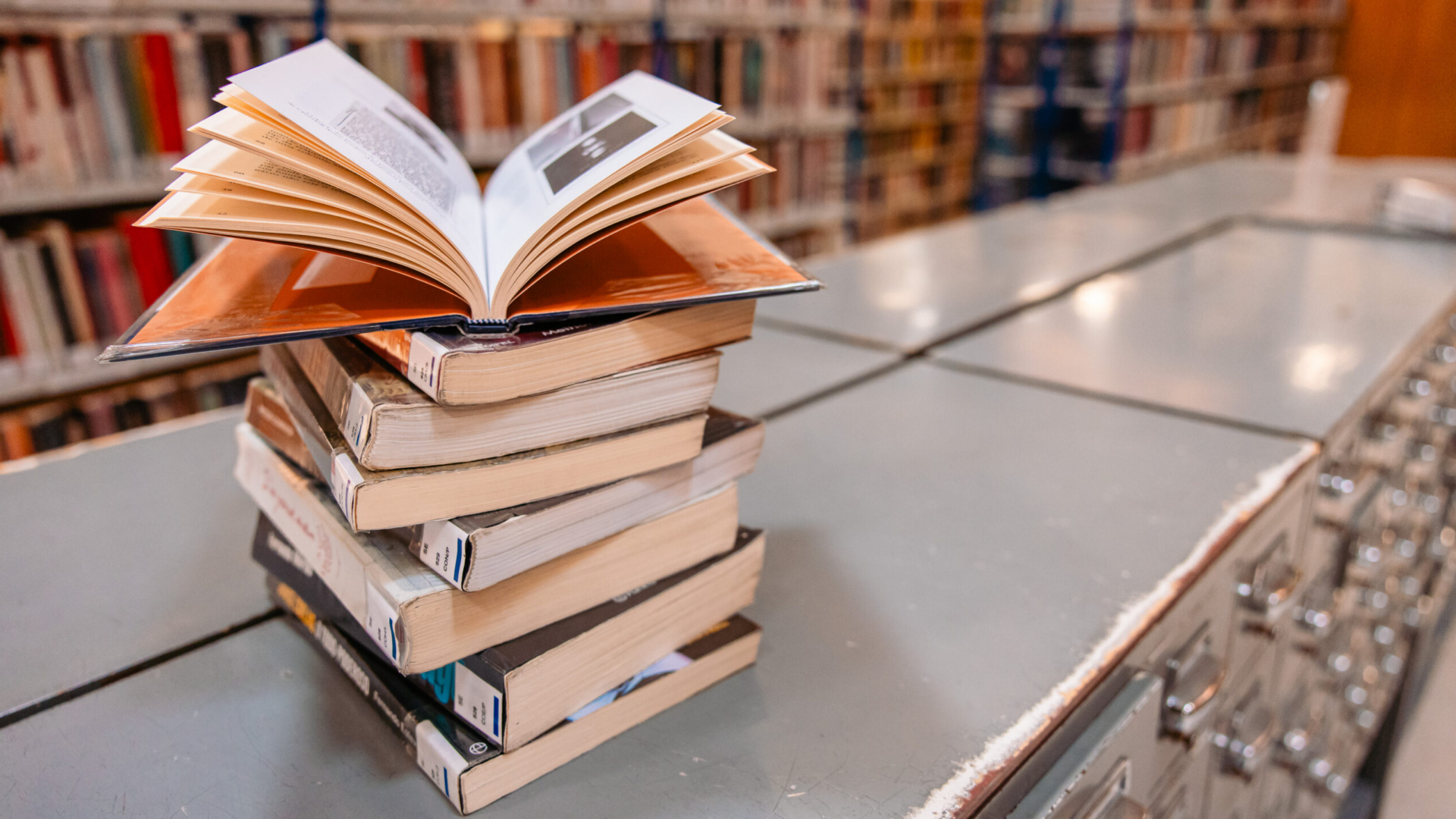 Biblioteca Municipal de Coimbra promove leitura, memória e património em setembro