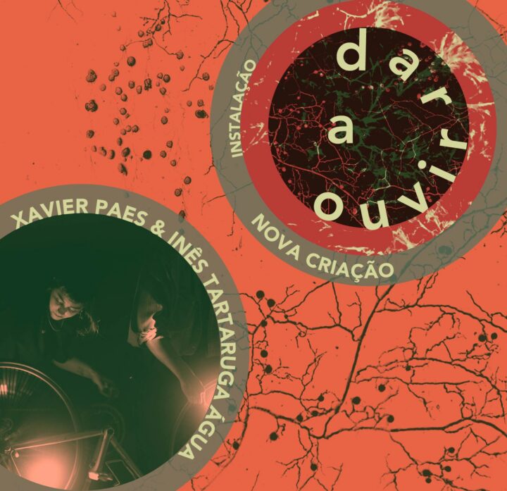 Nova criação de Xavier Paes & Inês Tartaruga Água no Dar a Ouvir