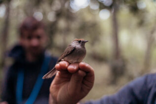 Município de Coimbra obtém apoio do Fundo Ambiental para reabilitar Centro de Interpretação do Paul de Arzila