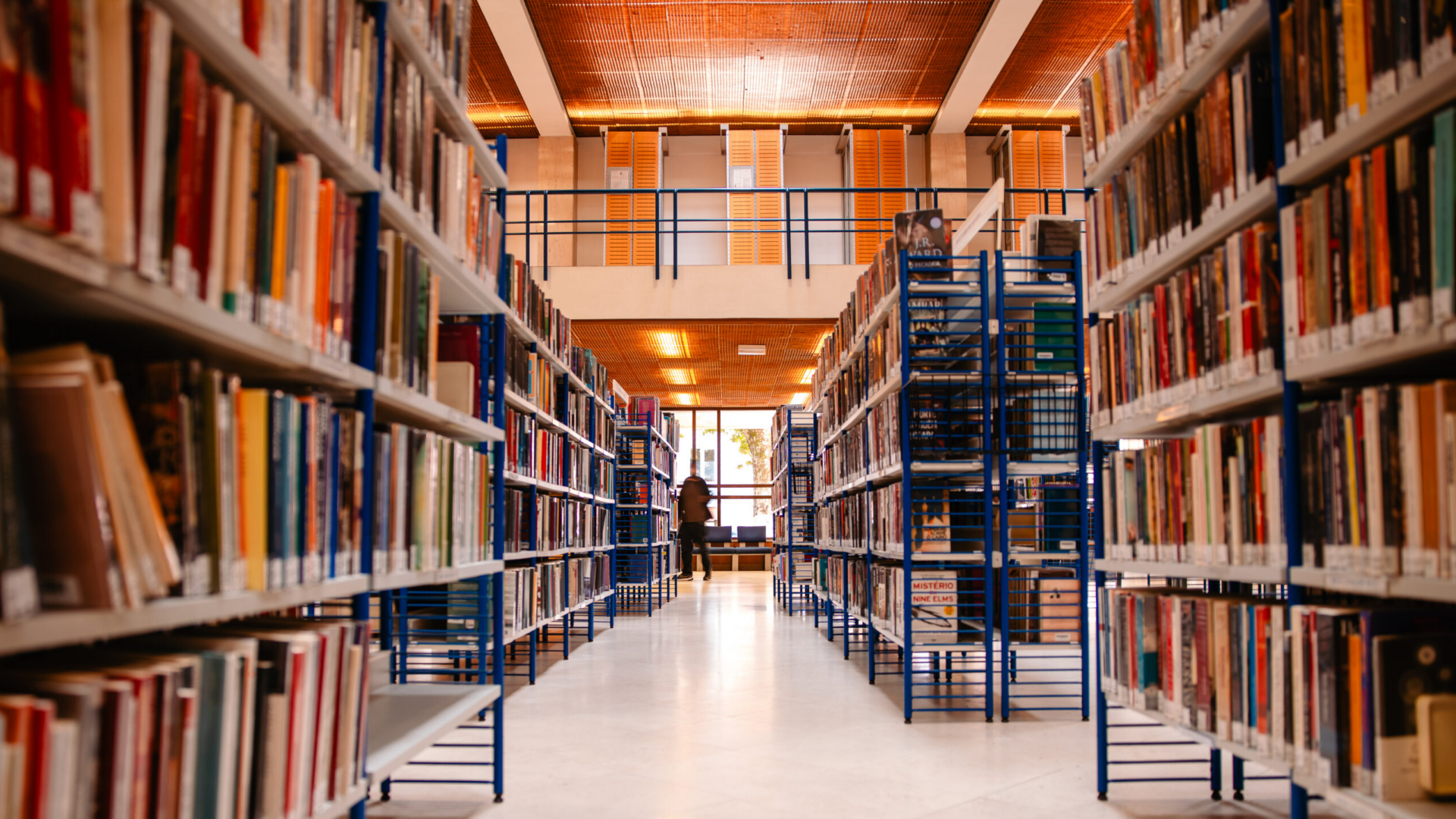 Biblioteca Municipal de Coimbra promove música, literatura e património em outubro