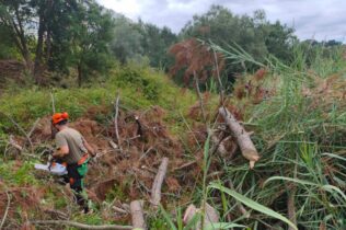 Barómetro do Ambiente e Sustentabilidade destaca intervenções em julho