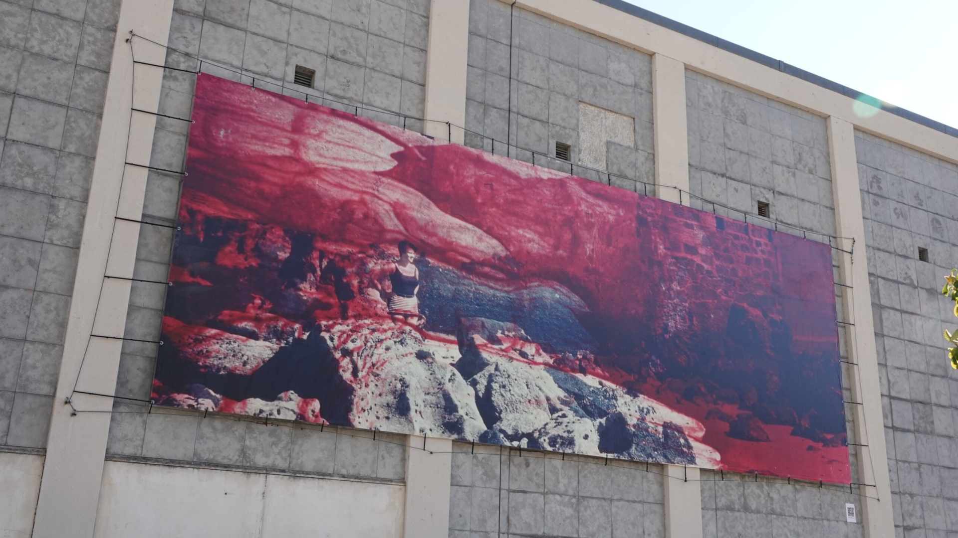 Obra de Carla Cabanas na fachada do Mercado Municipal D. Pedro V