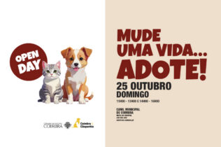 “Open Day” no Canil Municipal de Coimbra dia 25 de outubro