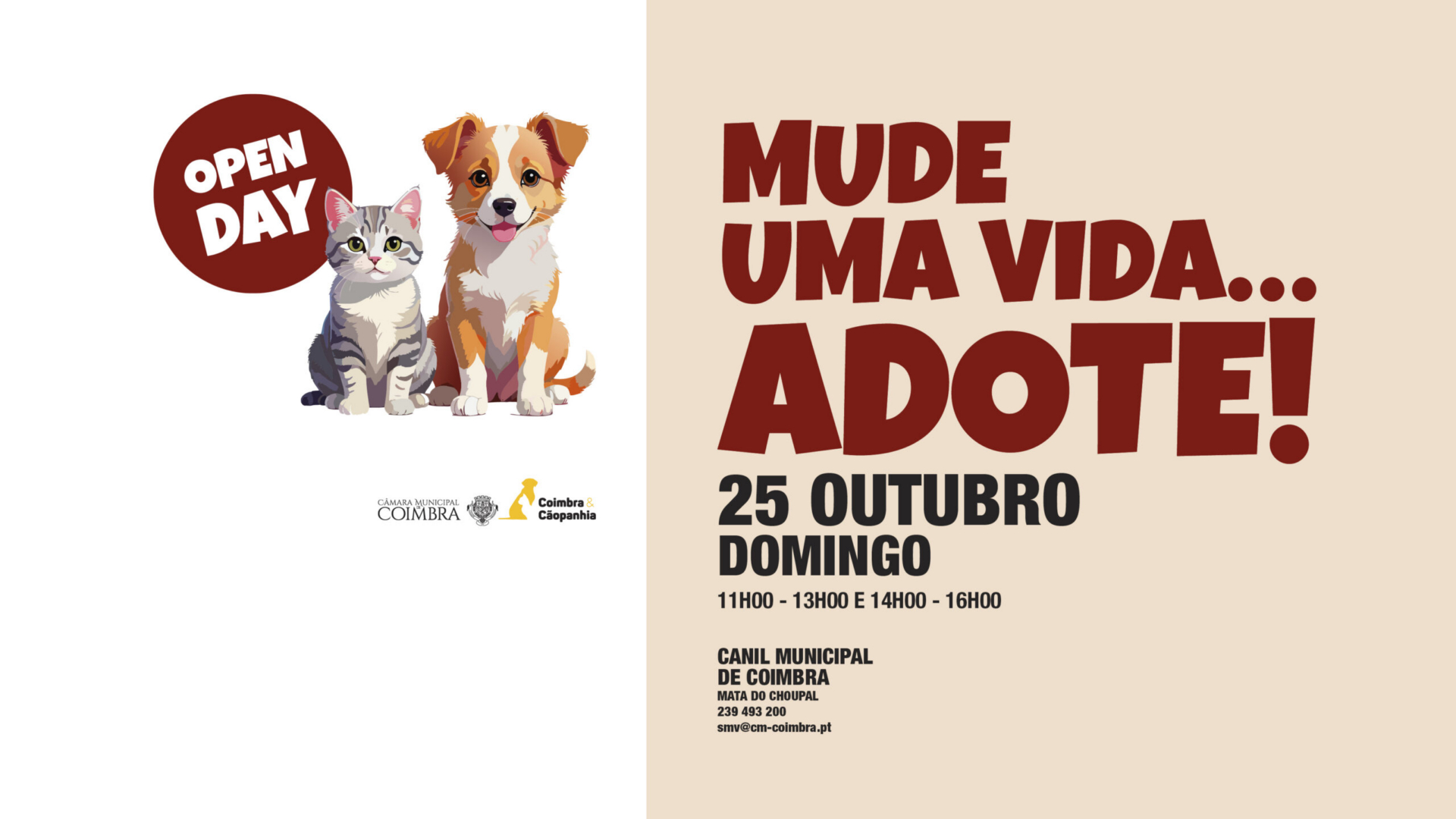 “Open Day” no Canil Municipal de Coimbra dia 25 de outubro