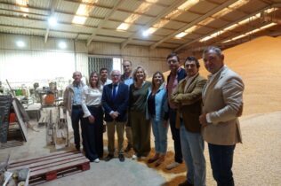Coimbra vai recuperar 21,5 km de caminhos agrícolas no Vale do Mondego e prepara valorização do território