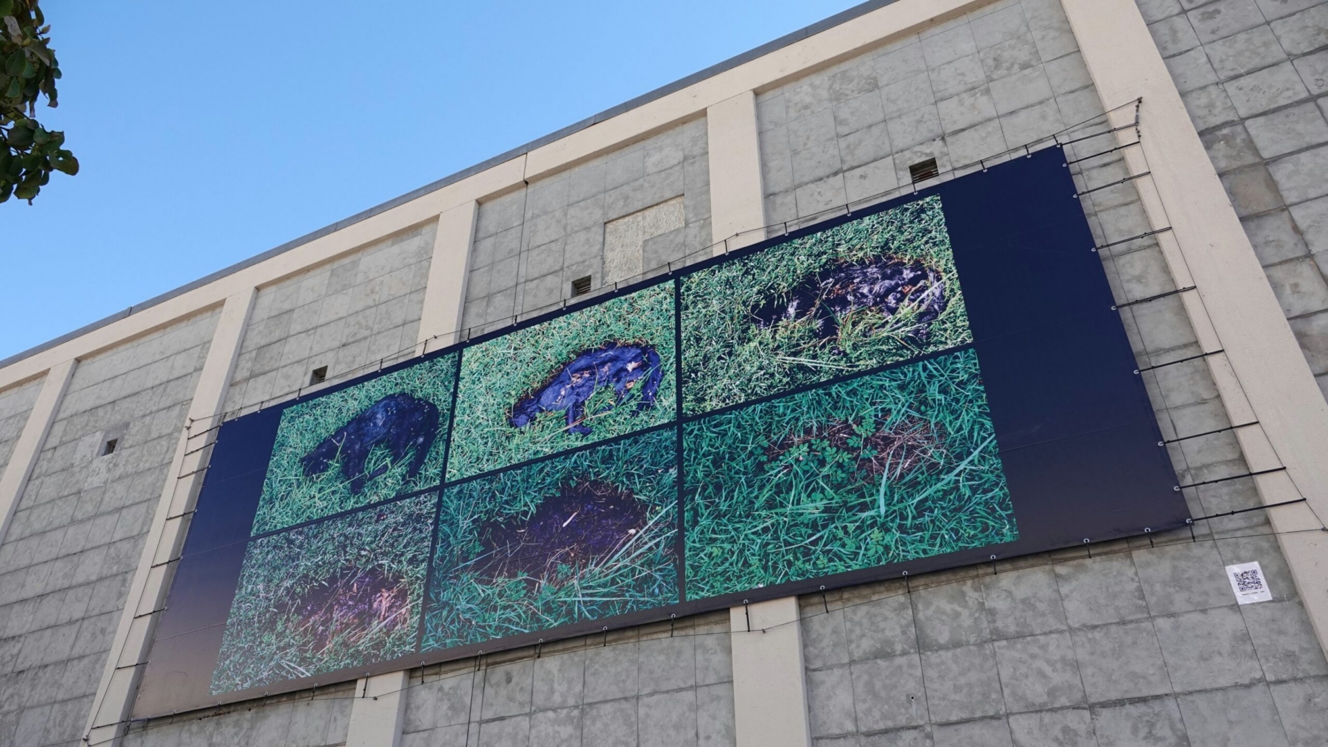 Obra de Félix Mula encerra projeto de arte na fachada do Mercado Municipal D. Pedro V