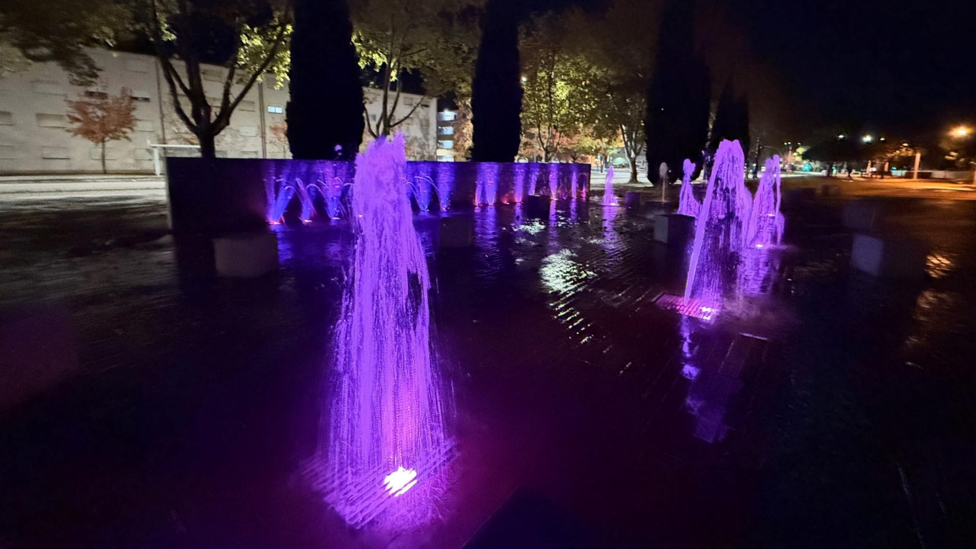 Coimbra associou-se ao «Setembro Roxo» na sensibilização para os cancros ginecológicos